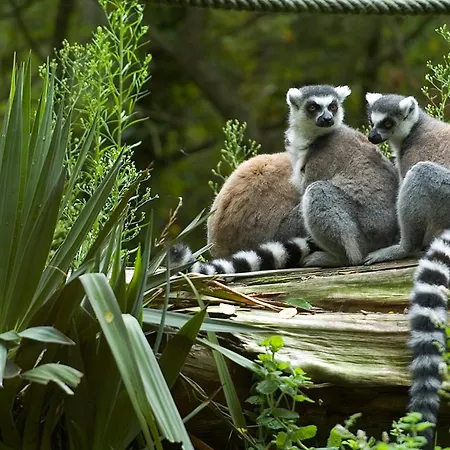 דירה Lumineux Proche Et Arago - Fr-1-92-938 Les Sables-dʼOlonne